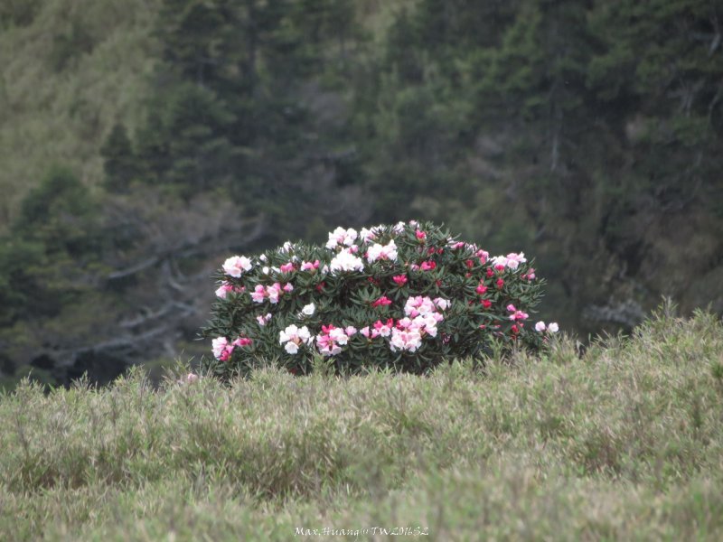 b3d5a6edddc821097559d42bf29fe78d.jpg