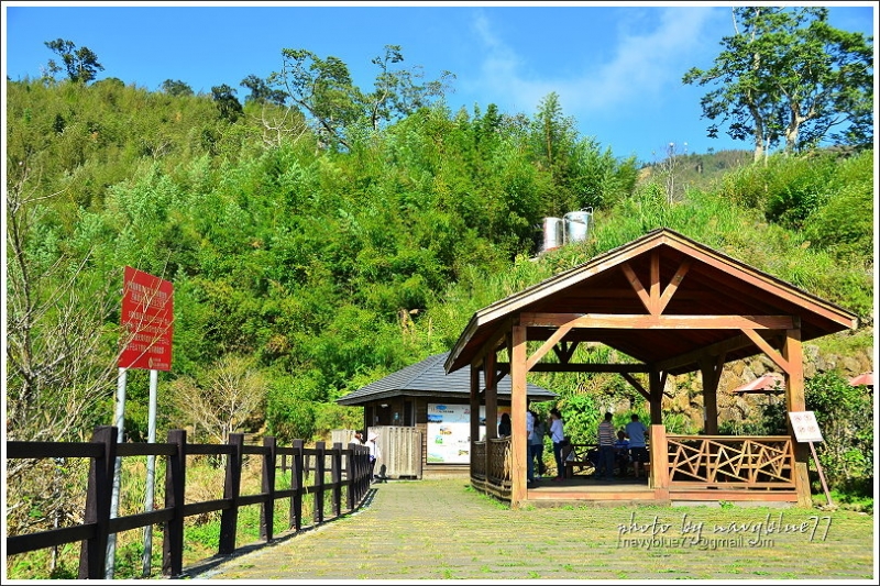 隙頂二延平步道-茶霧之道06.JPG