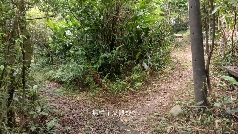 b42af91f779ccf9749d64023b2854383.png