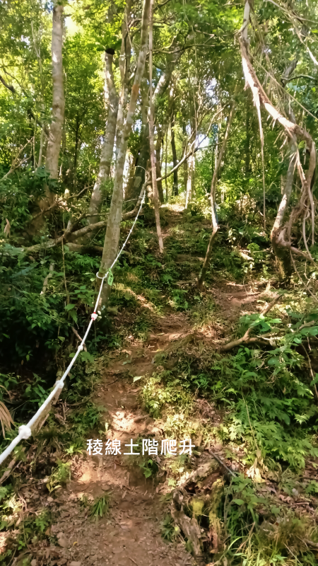 b44fe23581a75770d6565fd05f502c6f.png