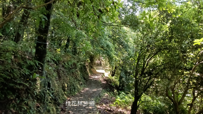 b46f08cbe5f0d62e45c2edaf456e5013.png