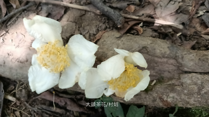 b498878d14ca284fd4443220bf81a902.png