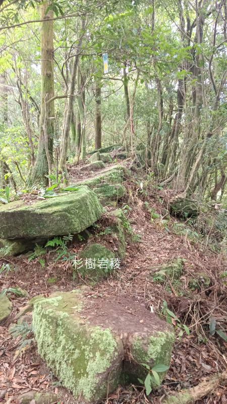 b4a7239f2937d8c8bf3355c0f397362b.png