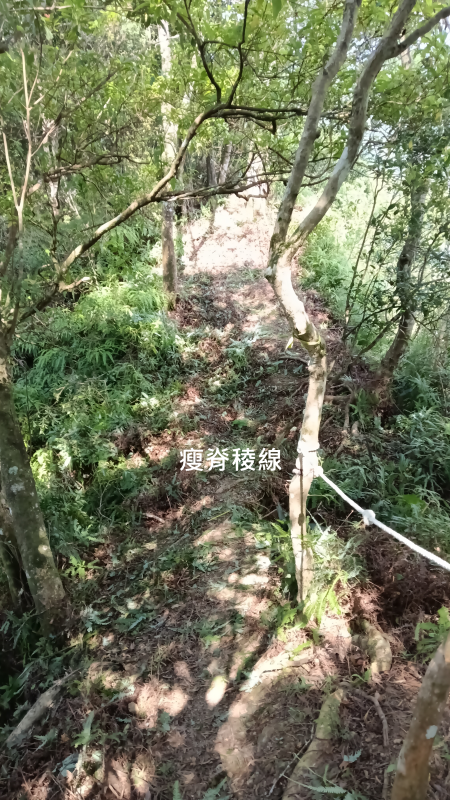 b4dbc9d44f7e11f5ea91b97ad4e7ad41.png