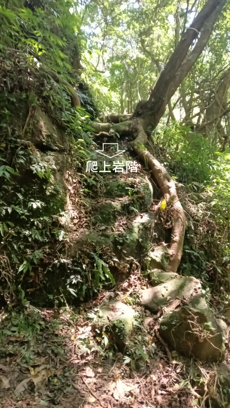 b4f86c90b42e87097c4e52ce52b03e89.png