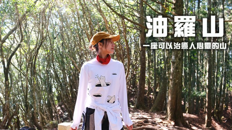 【油羅山】一座可以治癒人心靈的山 | 新竹羅山林道