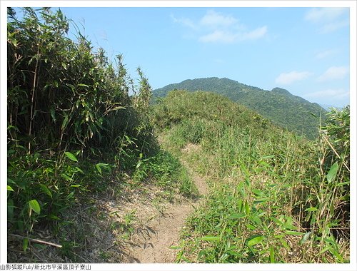 頂子寮山 (13).JPG - 頂子寮山