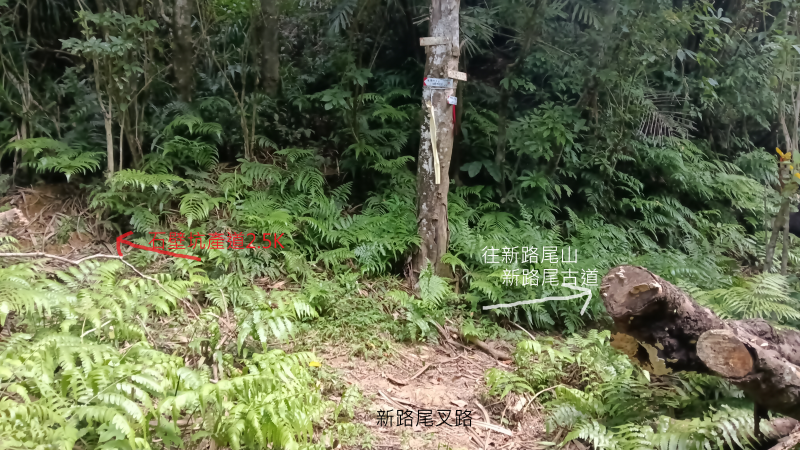 b51fa55ec9ff351027a856fda24d4816.png