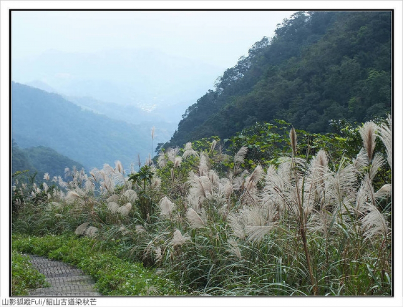 貂山古道 (52).jpg - 貂山古道