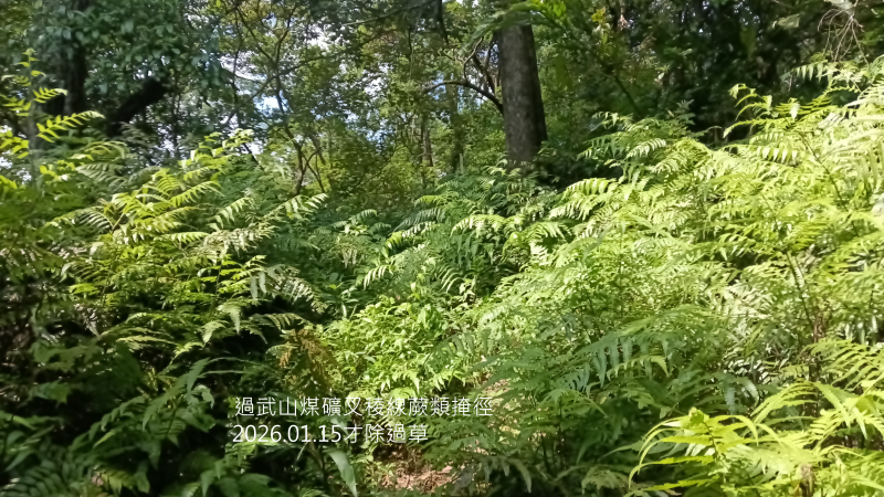 b538603f54886cb7ee728834b64d78f4.png