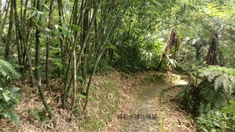 b570d5bacc382f1fdf43832bde577a8f.png