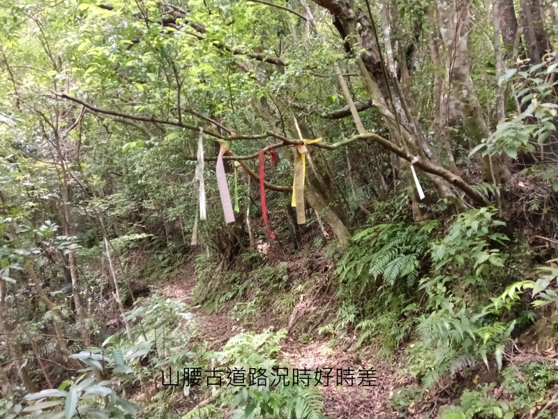 b59013e28060196c5e215dca824145e4.png