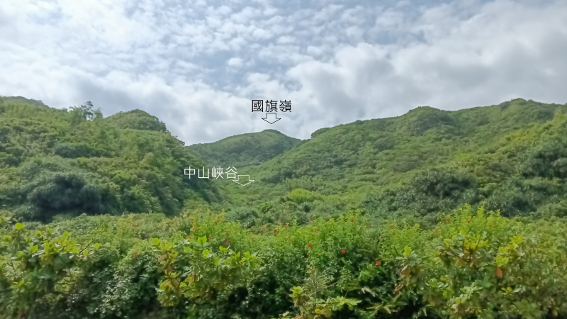 b6067139afb67a2c3967423e62ec6cbf.png
