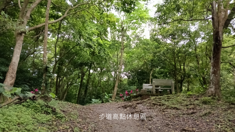 b61b4d258d89aed254dd5b6f472aae5b.png