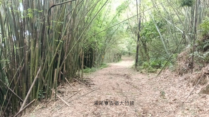 b66d900857c90d4cb35bceaf0fa45c56.png