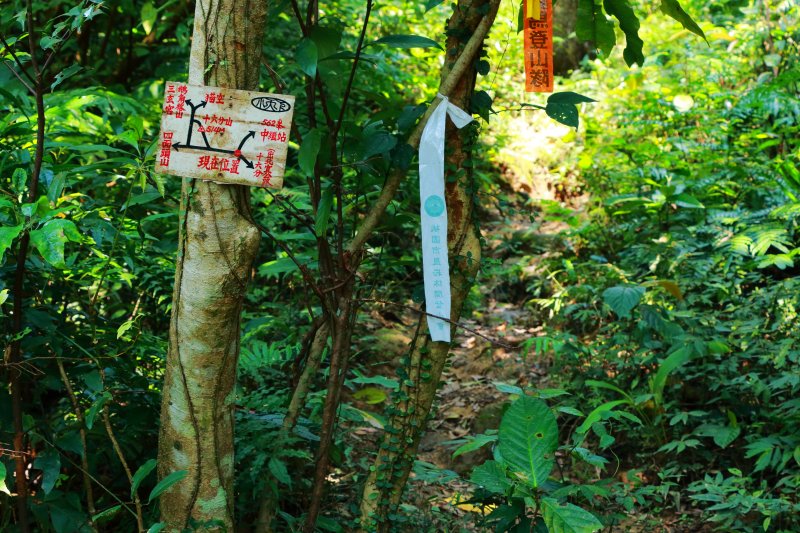 【紀錄】猴山岳、二格山連峰獨行