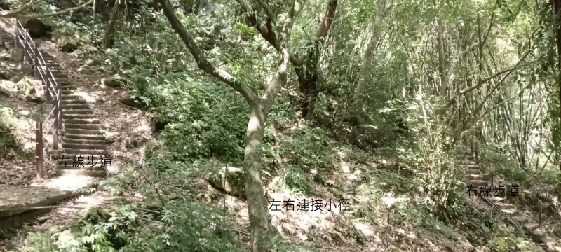 b689d8b9aa51d8f5a3f68e883cd81b07.png