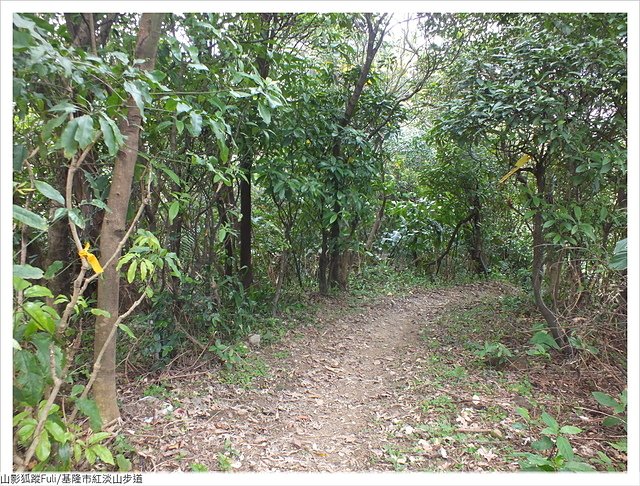 紅淡山步道 (95).JPG - 紅淡山步道