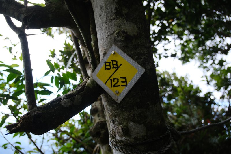 b6f5b1b545eebcc678cef3bc8e3f85ab.jpg