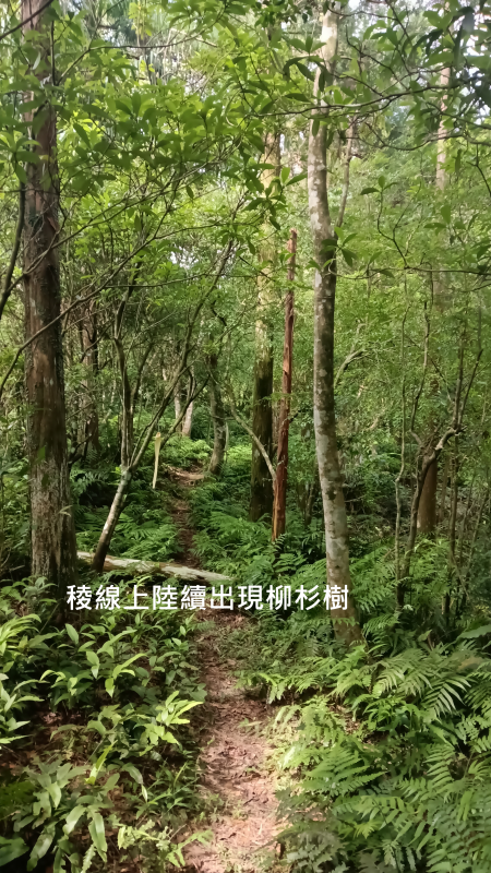 b78f6817c4a0fda8de517e0adffa2cd0.png