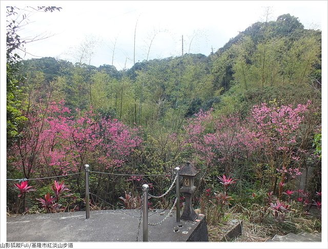 紅淡山步道 (53).JPG - 紅淡山步道