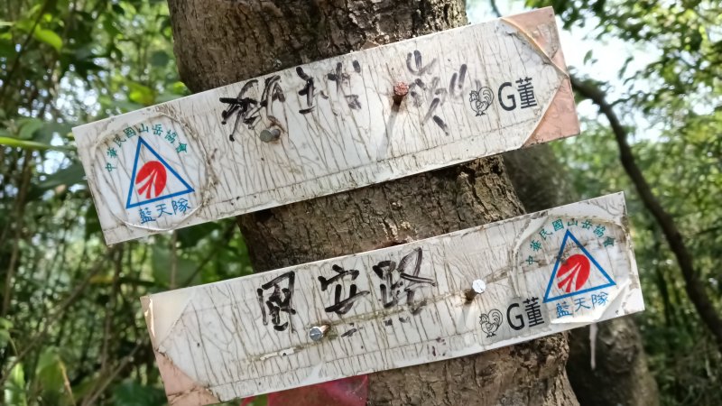 b7f23899d26efe15e9026acf253e95e4.jpg