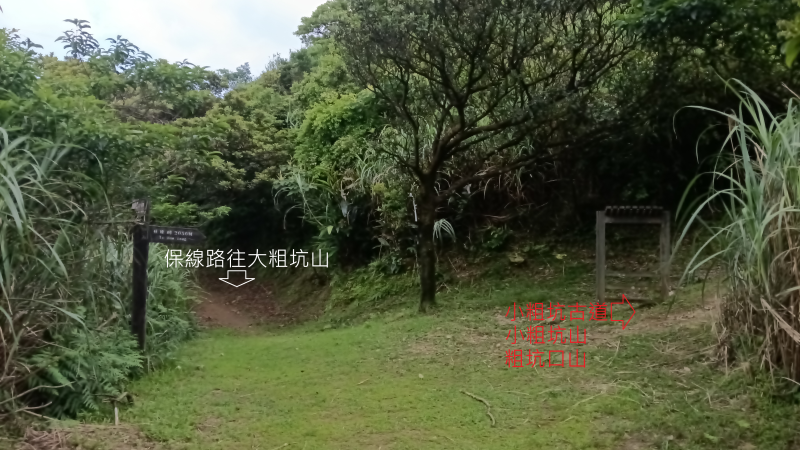 b80aae879eb0a64d5add12c31bc6618b.png