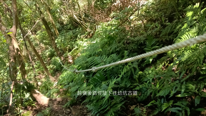 b8204b6b85f18c26f6c59febd294e932.png