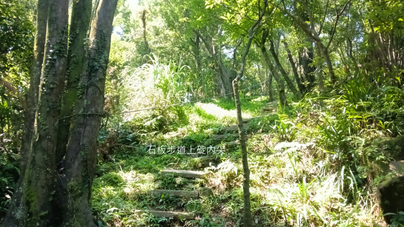b8f524ae2eb78d7b2e1b877e0d7d0e17.png