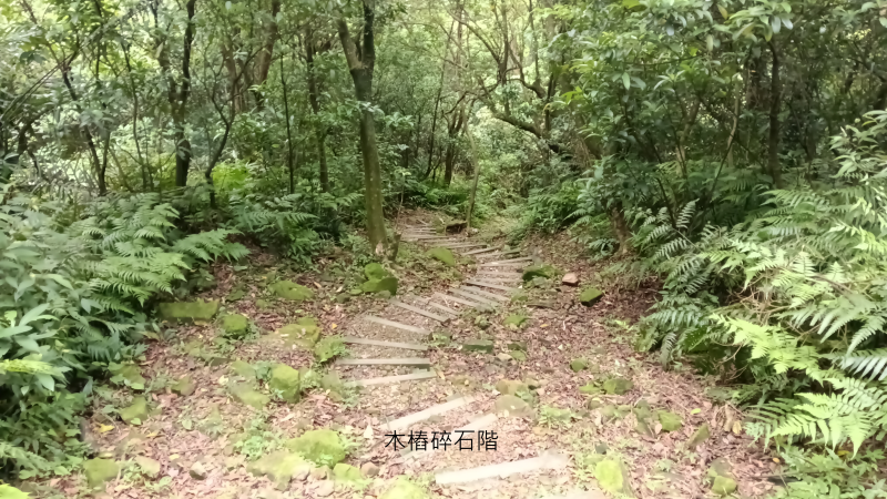 b975d1a09287d9817569d630bbe83b22.png