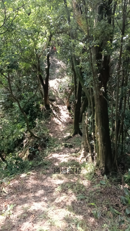 ba58dea9c5117c10b1e31e835292e003.png