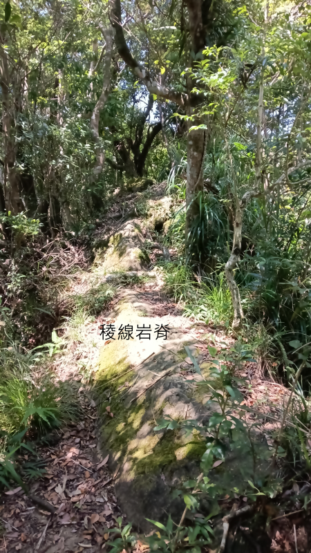 ba7a904c27759a1871343461f2f253e5.png