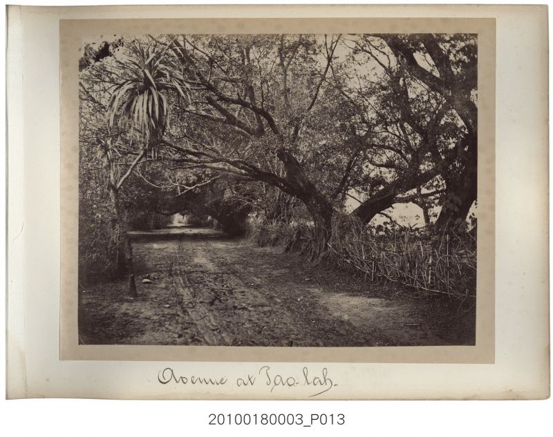 約1870年代所拍攝臺灣鄉間的照片。照片裡路的中間有二道牛車板輪行走過的痕跡，可...