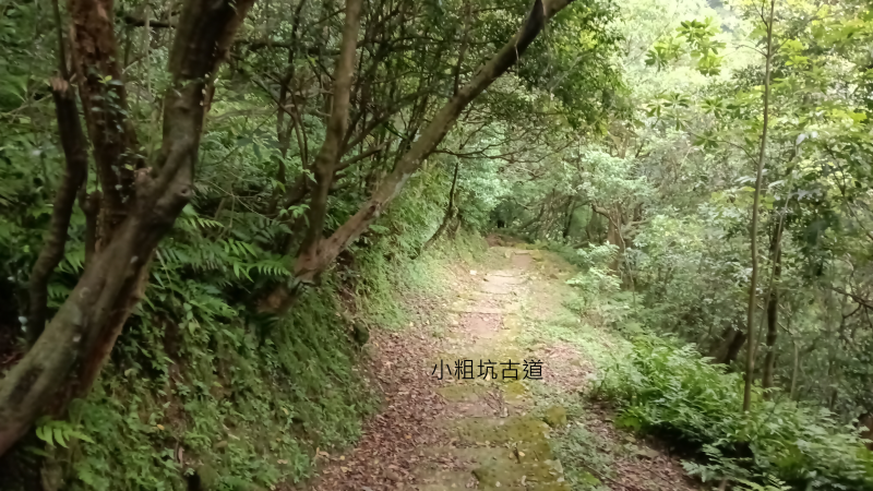 bbd28d50e1872843c3beb828d9da9f5d.png
