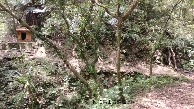 bc40623e34b2e3d8014606bfdb9f7600.png