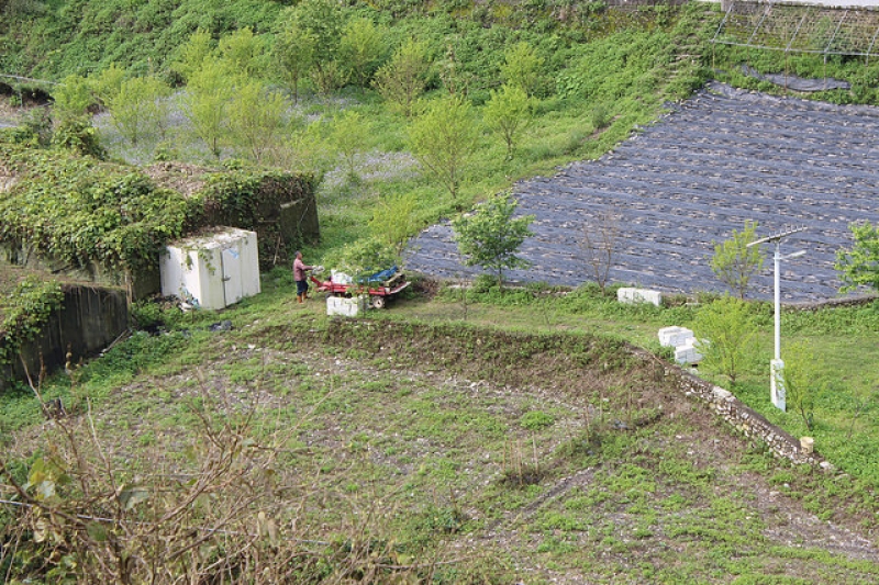 西寶農地一景。攝影：廖靜蕙