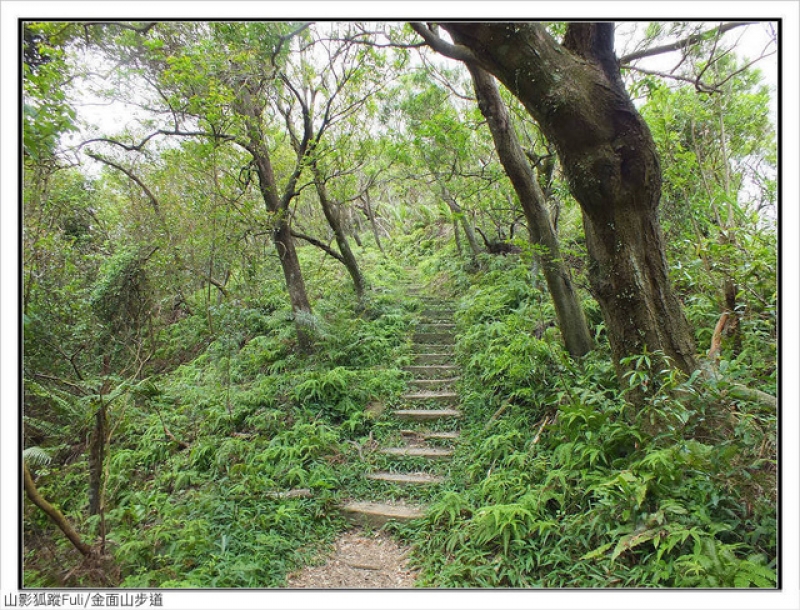 剪刀石山、金面山 (40).jpg - 剪刀石山、金面山