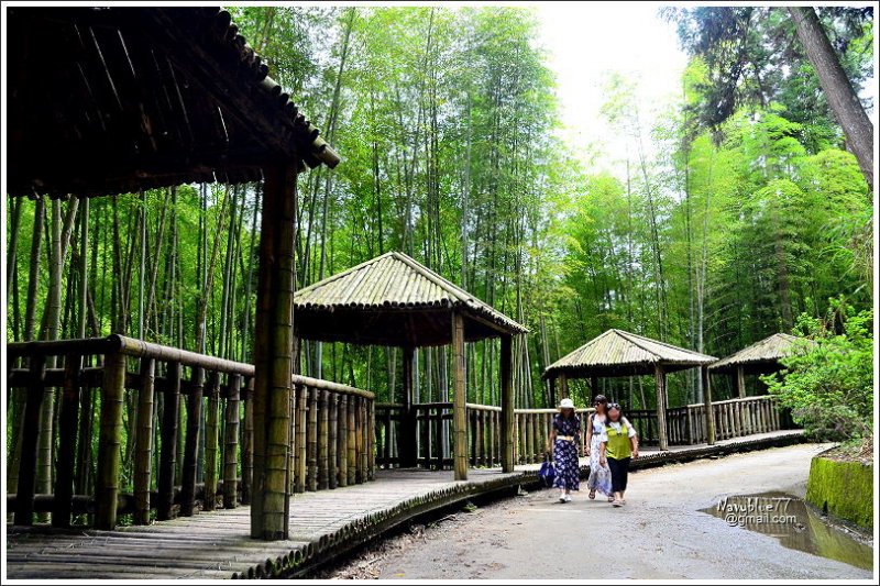 石壁木馬古道-五元二角-雲嶺之丘