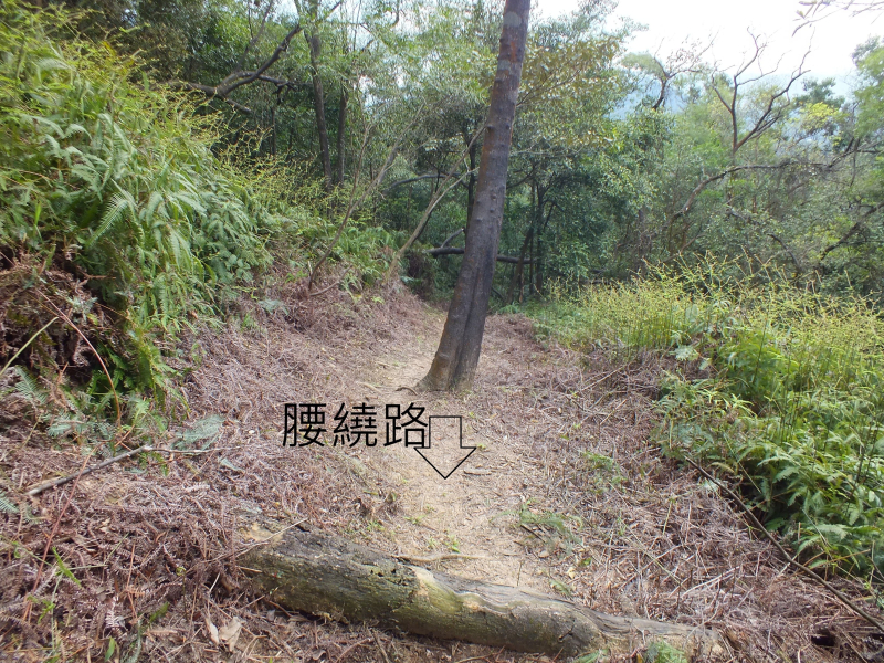 bc6324d4d09c012d2ec3c227a5766e7a.jpg