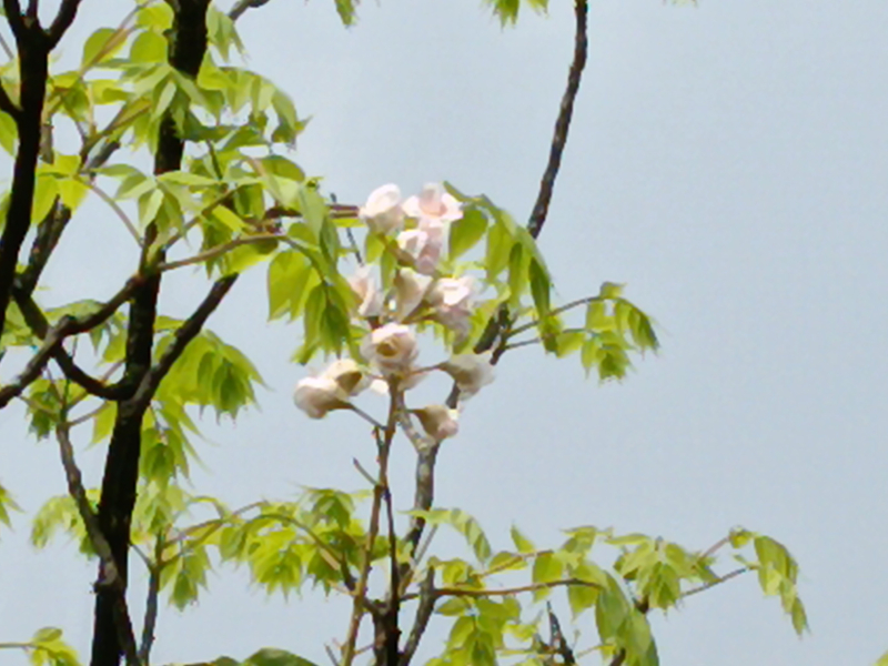 bca3547bb7d00a8228a3b3950ffbb321.jpg
