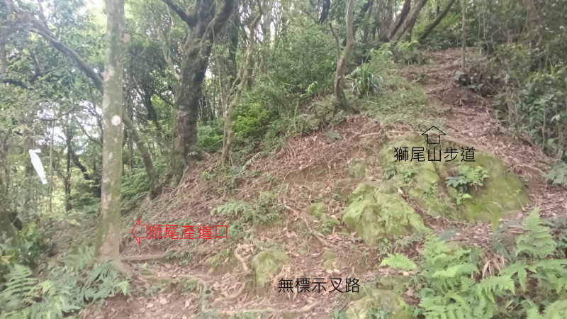 bcc0f60e3da452298886ed48a575622c.png