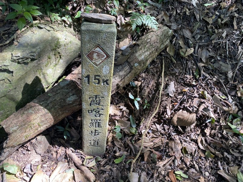 《走進百年前的山林｜霞喀羅古道22K縱走．一條被歷史刻下痕跡的路》