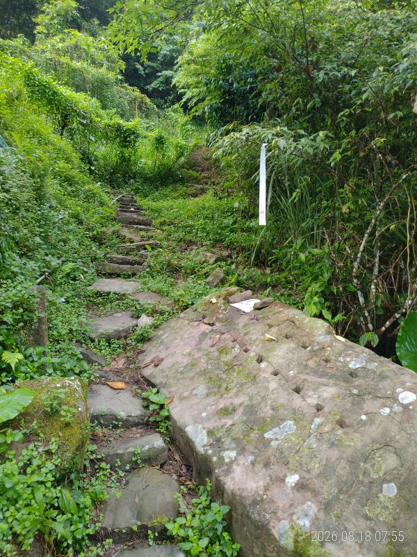 bd315ee0185abd2036966201683d9791.jpg