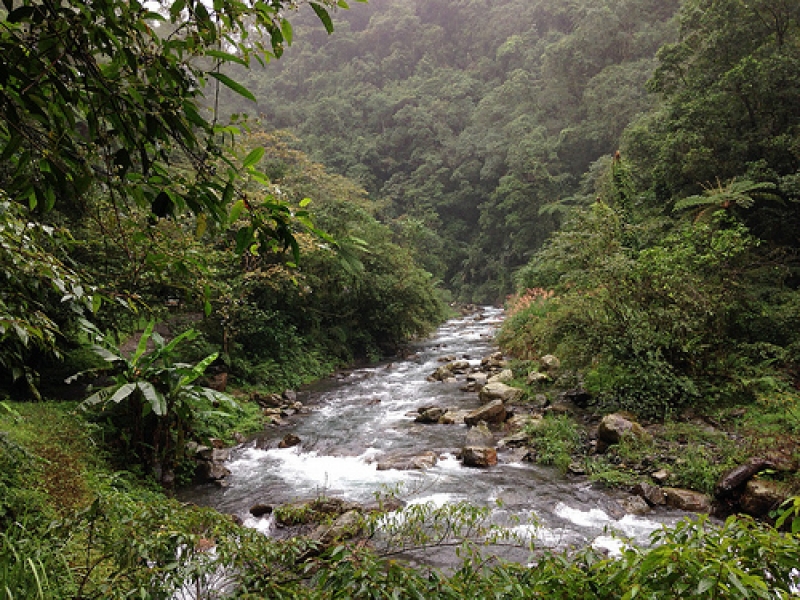 九寮溪是崙埤部落土地，目前則劃編為林務局國有林班地。攝影：廖靜蕙