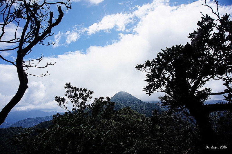 回看東穗山