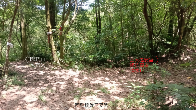 bdde44dc56fd4d239a7c68ba8ab2d956.png