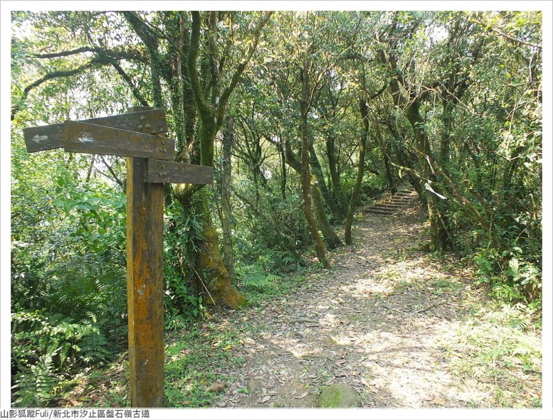 盤石嶺古道 (95).JPG - 盤石嶺古道