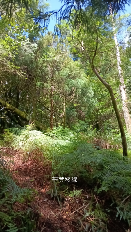 be03eff34616f72db16c51ce0ddeeba8.png