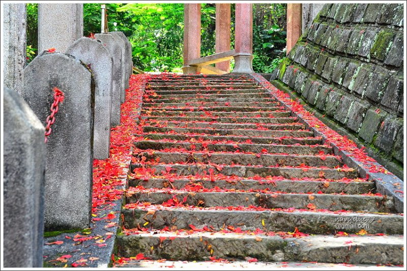 埔里醒靈寺 (3).JPG