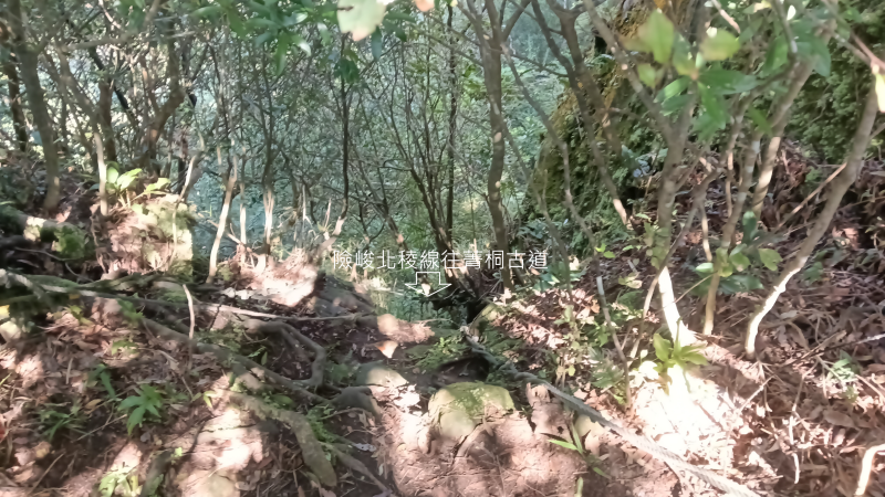 bf066ab3579477d117868c1dfa5ccb91.png